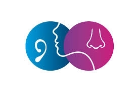 Dr. Mohamed Hosni El-Hafni, Senior Consultant,