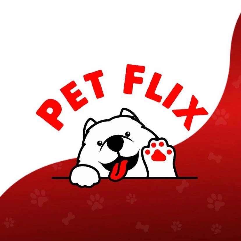 بيت فلكس pet flix