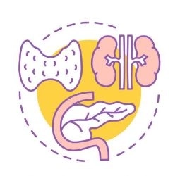 Professor Dr. Maha Bundak, Professor of Endocrinology and Diabetes