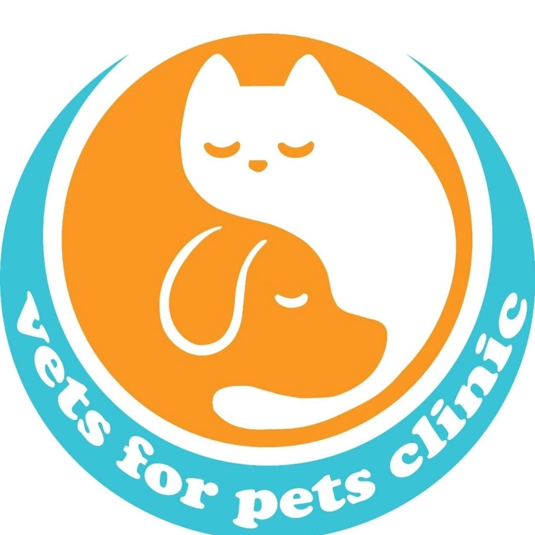 vet and pets