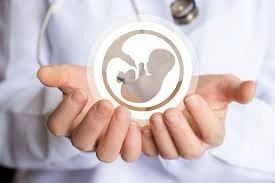  الفرق بين الحقن المجهري وأطفال الأنابيب | كل ما تحتاج معرفته 