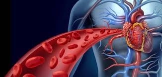 توسيع الشرايين بالبالون وتركيب الدعامات: الحل الآمن لعلاج ضيق الشرايين – مع د. ياسر يحيى