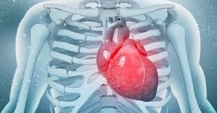 الفرق بين ضعف عضلة القلب وتصلب الشرايين – مع توضيحات من د. دينا يسري