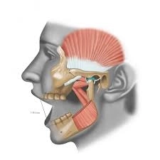 علاج اضطرابات مفصل الفك (TMJ) مع د. إسلام قاسم