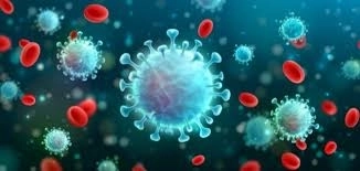 العدوى الفيروسية والبكتيرية مع د. أكرم فايد: الفروق والعلاج
