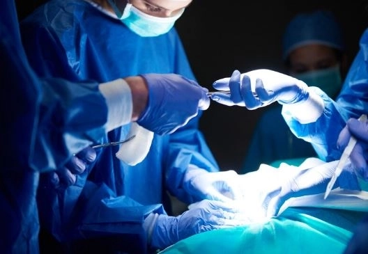 استئصال المرارة والزائدة الدودية: الأسباب، الإجراءات، وفوائد العلاج