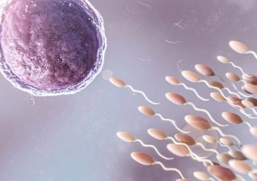 مناظير الحقن المجهري ودورها في علاج تأخر الإنجاب