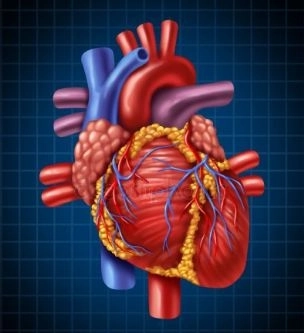 جراحات القلب المفتوح مع دكتور عمرو عتش