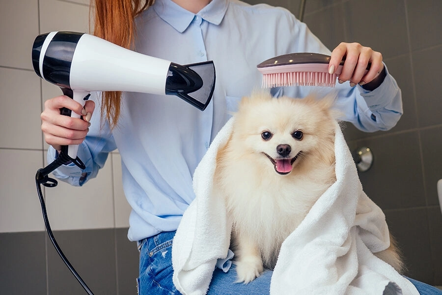 تنظيف وتجميل الحيوانات الأليفة مع بيت فلكس