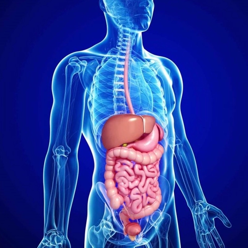 جراحات الجهاز الهضمي والقولون مع دكتور أحمد طلحة جراحات الجهاز الهضمي والقولون مع دكتور أحمد طلحة