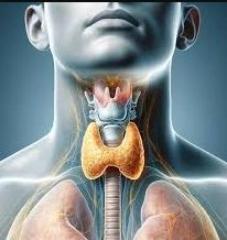 جراحة العنق والغدد الصماء بدقة وأمان مع دكتور مصطفى الرمادي