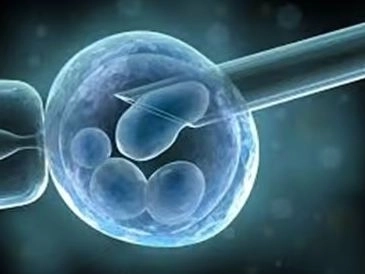 التلقيح الصناعي والحقن المجهري مع دكتورة عبير تاج السر التلقيح الصناعي والحقن المجهري مع دكتورة عبير تاج السر