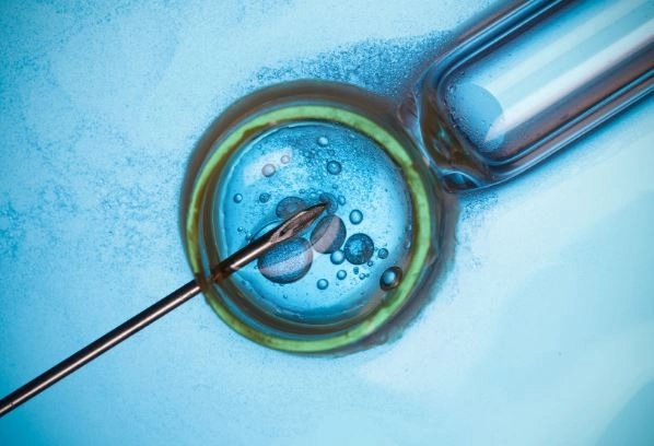 الحقن المجهري وأهميته في علاج تأخر الحمل مع دكتور اسماعيل نوار الحقن المجهري وأهميته في علاج تأخر الحمل مع دكتور اسماعيل نوار